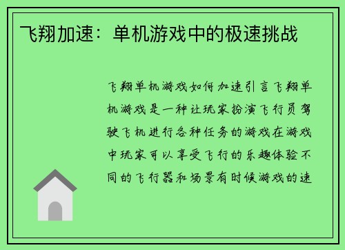 飞翔加速：单机游戏中的极速挑战